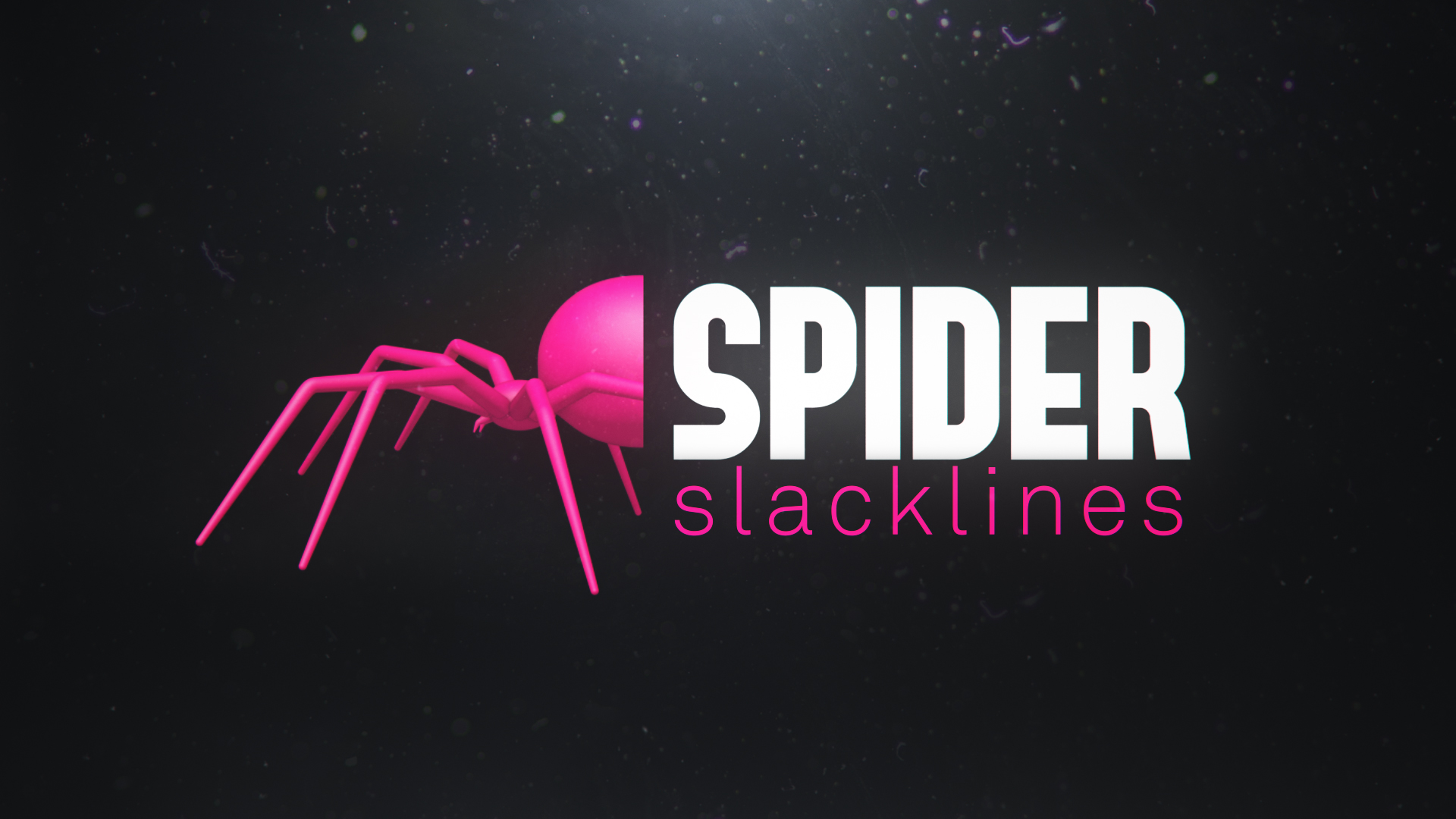 logo-spider-slackline-3d